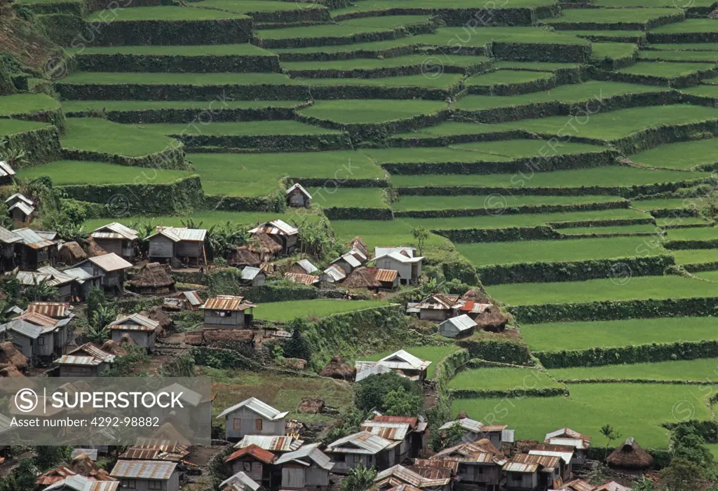 Rice terrace and a small village near Baguio, Northern Philippines