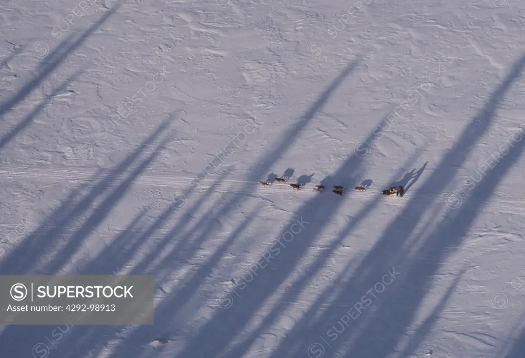 Iditarod Dog Sled Race, near Ruby, Alaska, USA