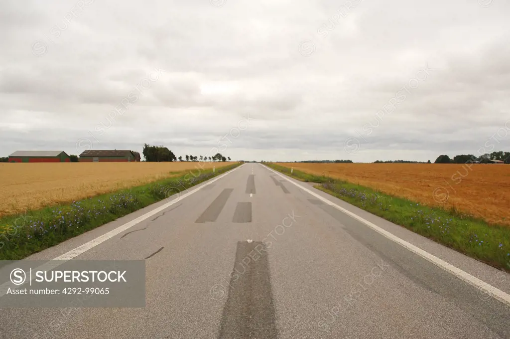 Road near Rodby, Denmark