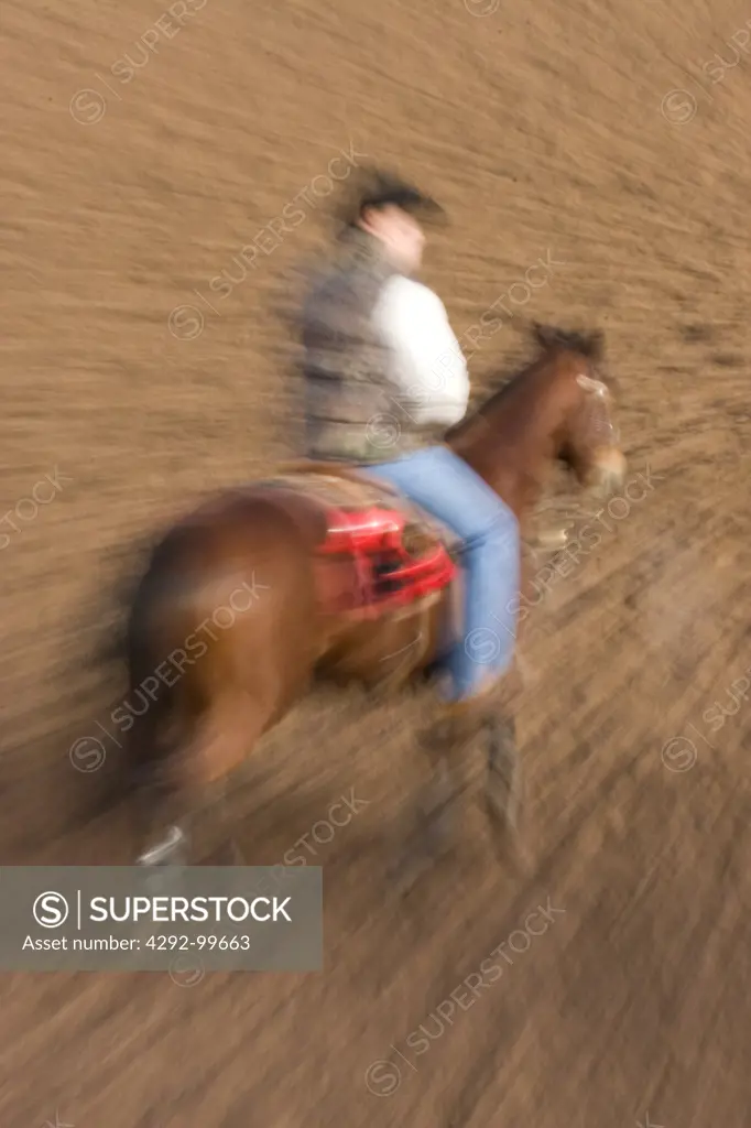 Rodeo cowboy on horse,