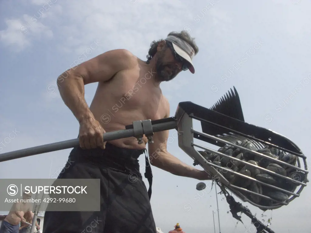 Shellfisherman at work raking for clams in Narragansett Bay off