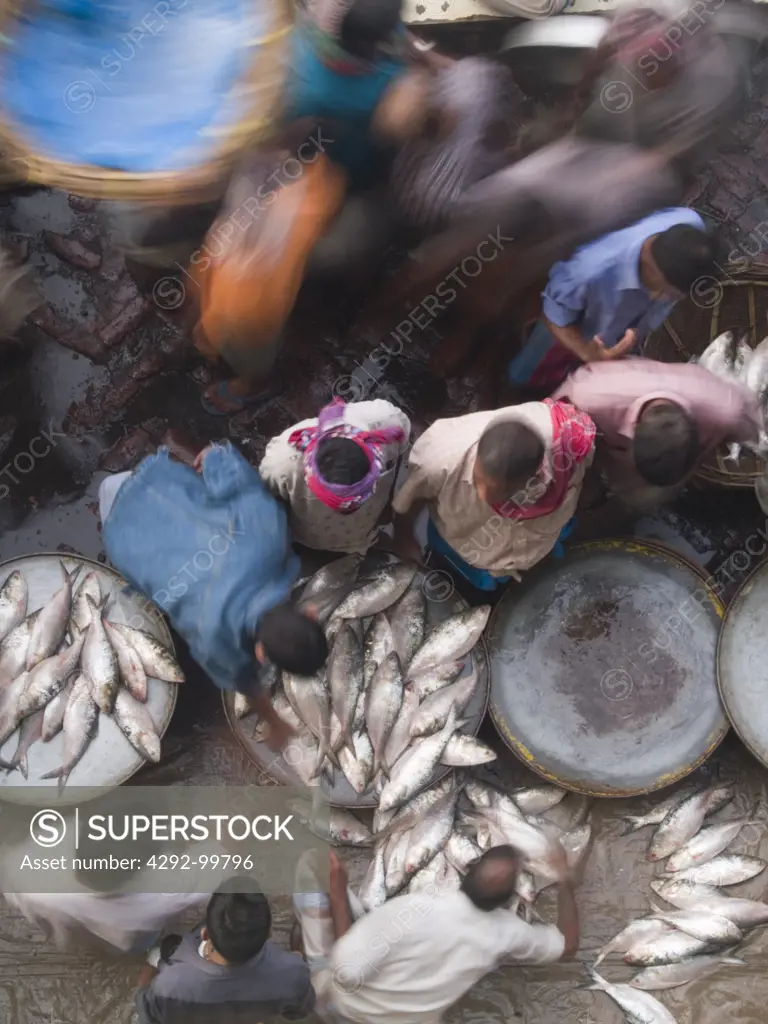 Bangladesh, Dhaka, fish market