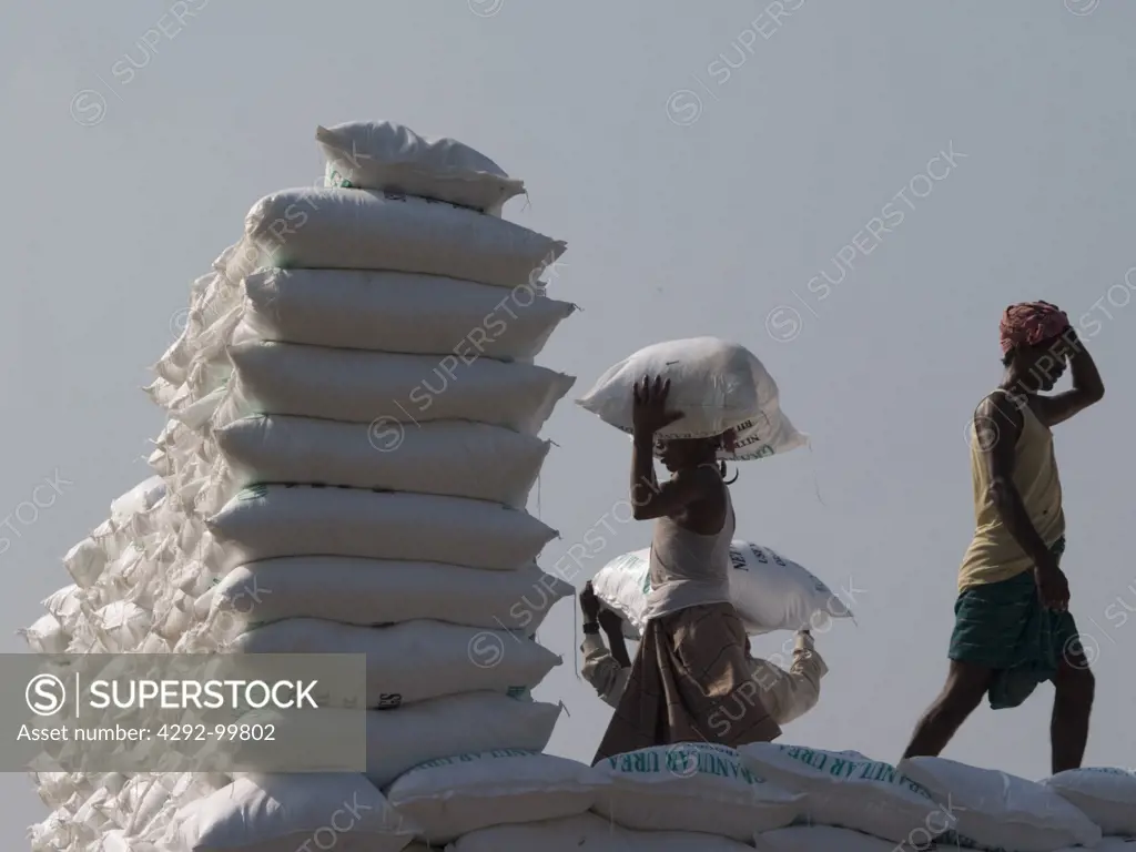 Bangladesh, Dhaka. Workers unloading sacks of fertilizer from boat