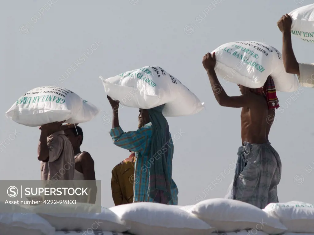 Bangladesh,Dhaka. Workers unloading sacks of fertilizer from boat