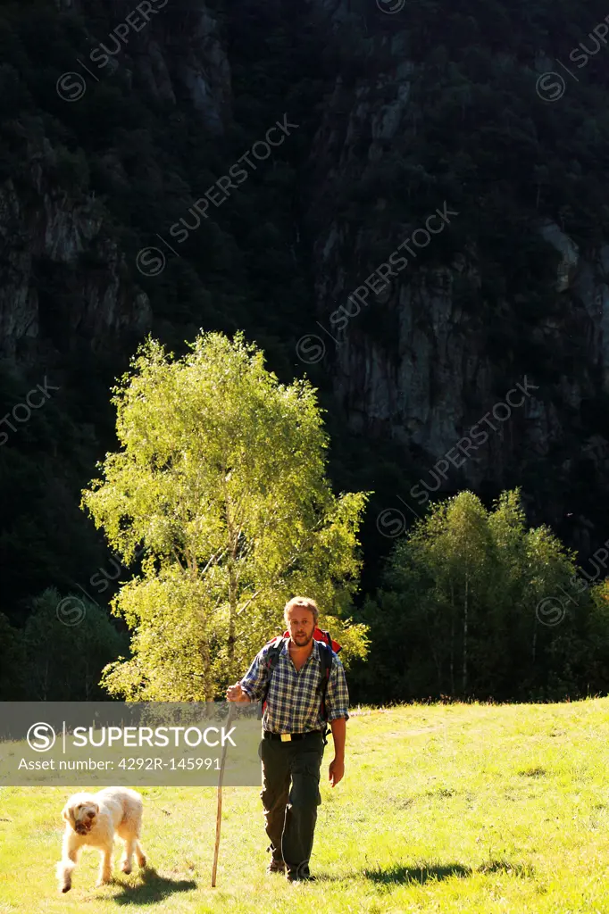 Man and dog trekking in meadow