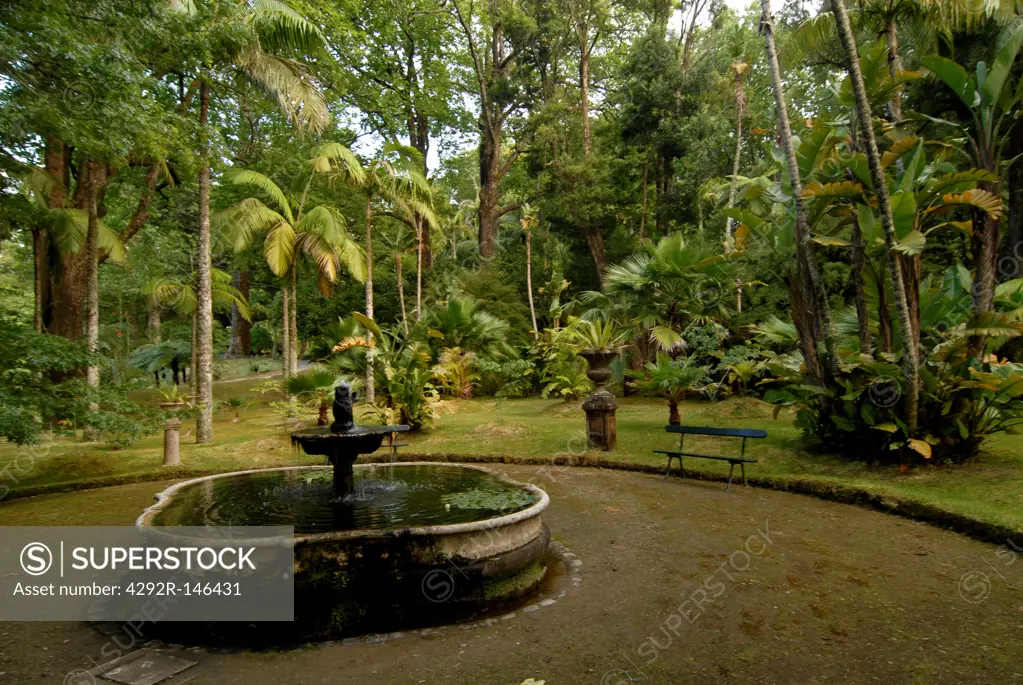 Portugal, Azores, Sao Miguel island, Furnas, Terra Nostra Park,old fountain
