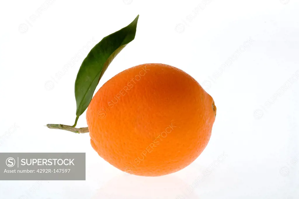 An Orange with Leaves