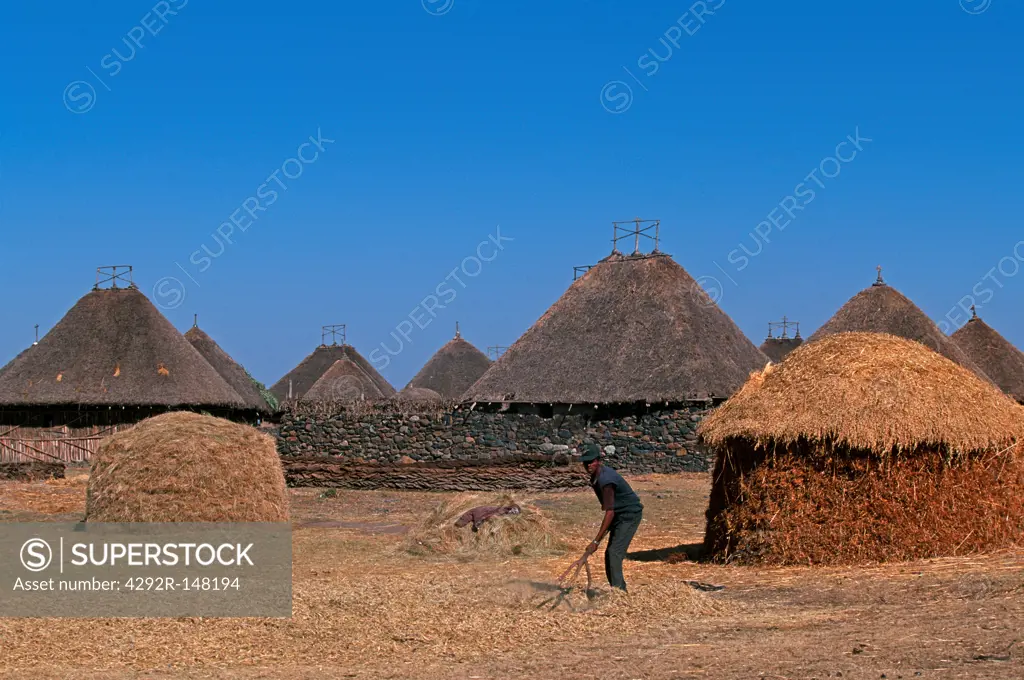 Africa, Ethiopia, Chacha village. farmer working