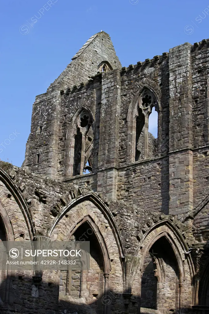 United Kingdom, Great Britain, Wales, Monmouthshire, Tintern abbey (Cistercian abbey)