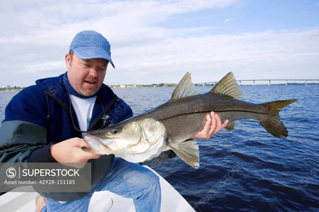 Man with snook fish caught in Stuart, Florida, USA
