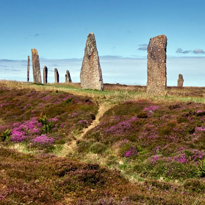UK, Scotland, Orkney Islands is an archipelago in the Northern Isles of Scotland, , Atlantic Ocean,, he ancient standing stones of the Ring of Brodgar in the Orkney Islands off the north coast of Scotland. This monument in the heart of the Neolithic Orkney World Heritage Site is believed to have been built between 4000 and 4500 years ago. Originally built with sixty stones in a circle over 100 metres across, fewer than half of the stones still stand. The tallest of the stones is a little over 4.5 metres (15 feet) tall