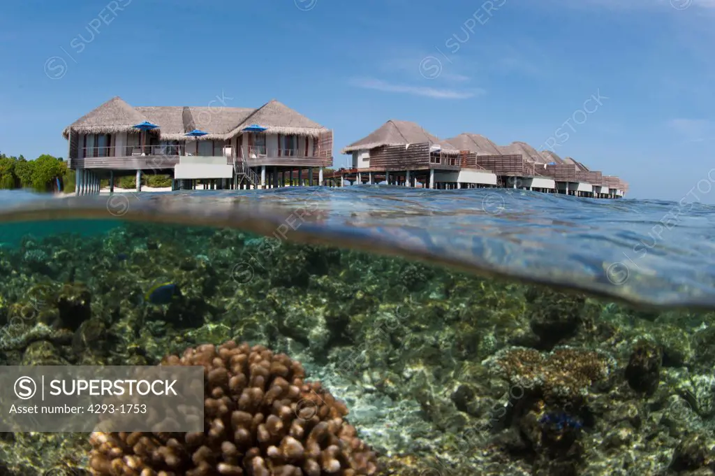 A split-level image of a resort's water villas, with sky & trees above, and coral reef below, Dusit Thani Resort, Maldives.