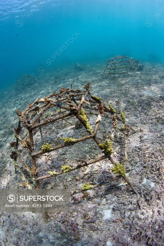 Artificial coral reef frames for coral recolonisation, and ecosystem creation, Semporna Straits, Sabah, Malaysia, Borneo.