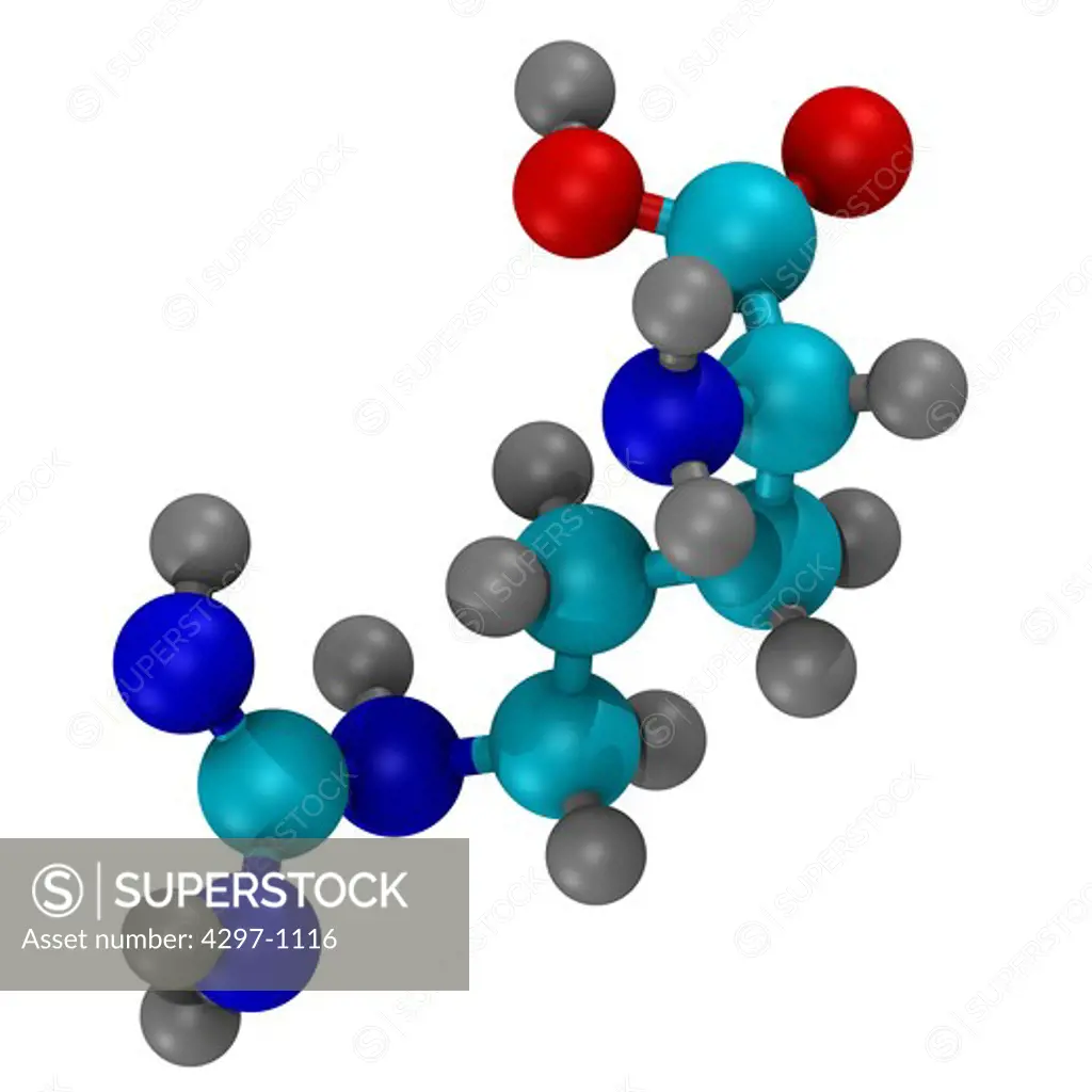 Computer generated three-dimensional ball and stick model of the amino acid, arginine Carbon atoms are shown in light blue, nitrogen in dark blue, hydrogen in grey, and oxygen in white