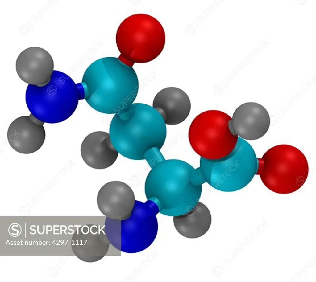 Computer generated three-dimensional ball and stick model of the amino acid, asparagine Carbon atoms are shown in light blue, nitrogen in dark blue, hydrogen in grey, and oxygen in white