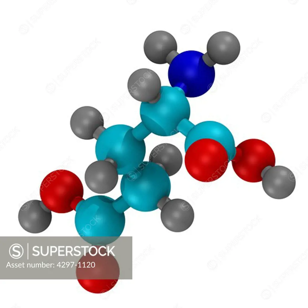 Computer generated three-dimensional ball and stick model of the amino acid, Carbon atoms are shown in light blue, nitrogen in dark blue, hydrogen in grey, and oxygen in white