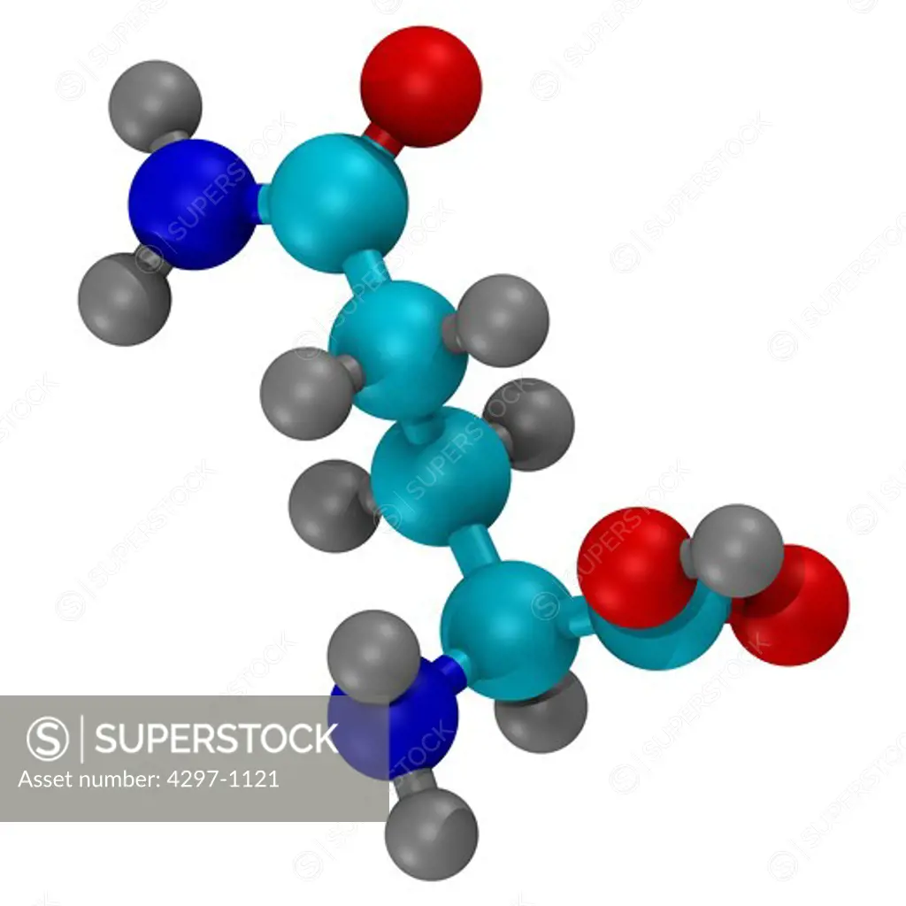 Computer generated three-dimensional ball and stick model of the amino acid, glutamine Carbon atoms are shown in light blue, nitrogen in dark blue, hydrogen in grey, and oxygen in white