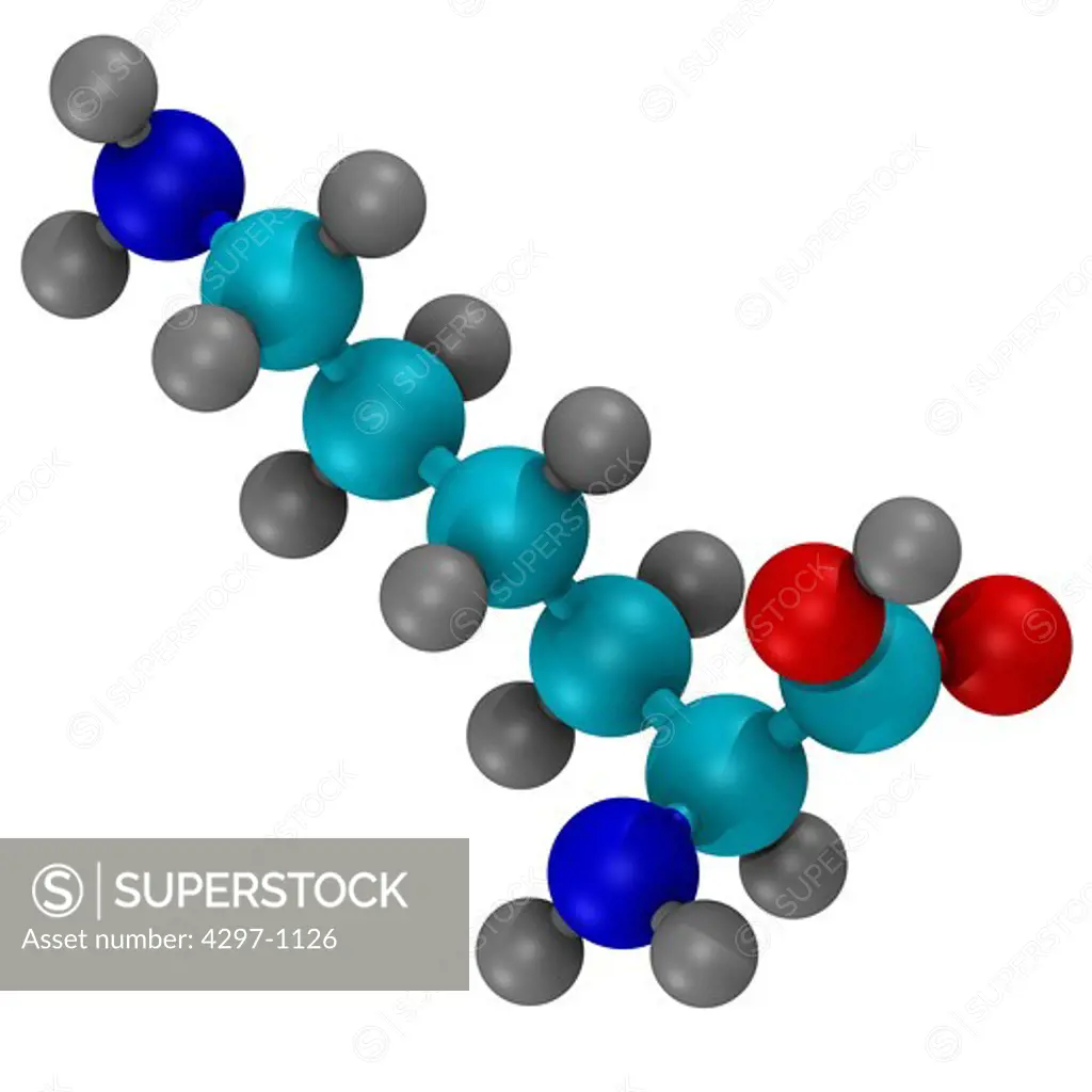 Computer generated three-dimensional ball and stick model of the amino acid, Carbon atoms are shown in light blue, nitrogen in dark blue, hydrogen in grey, and oxygen in white