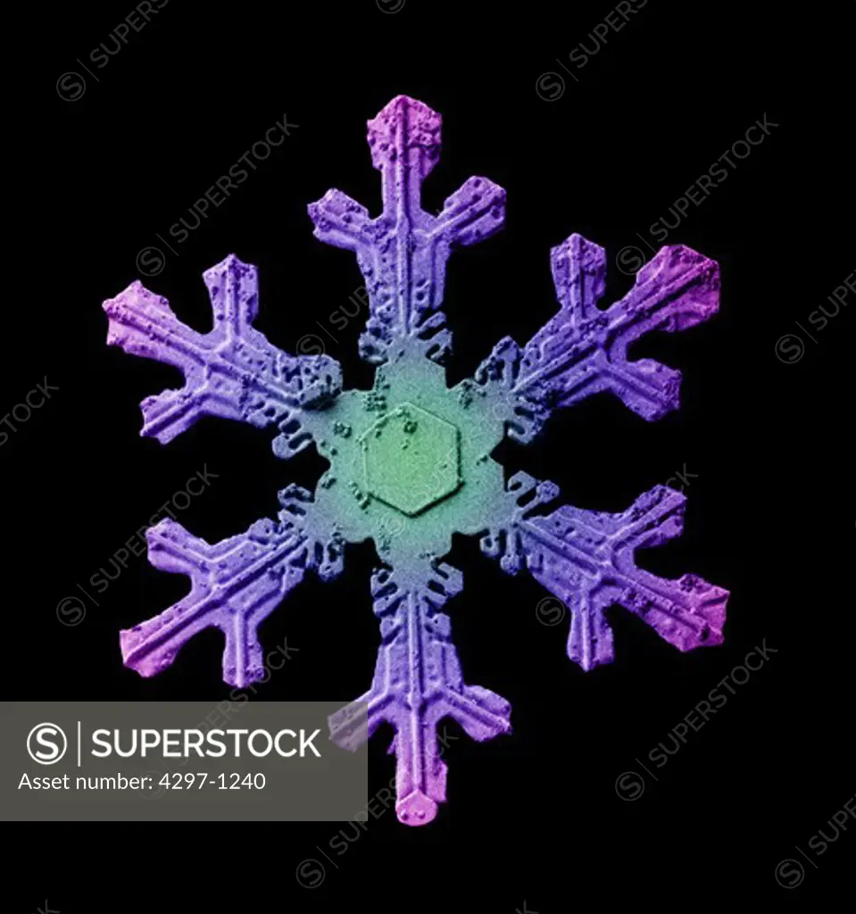 Scanning electron microscopic image of a snowflake