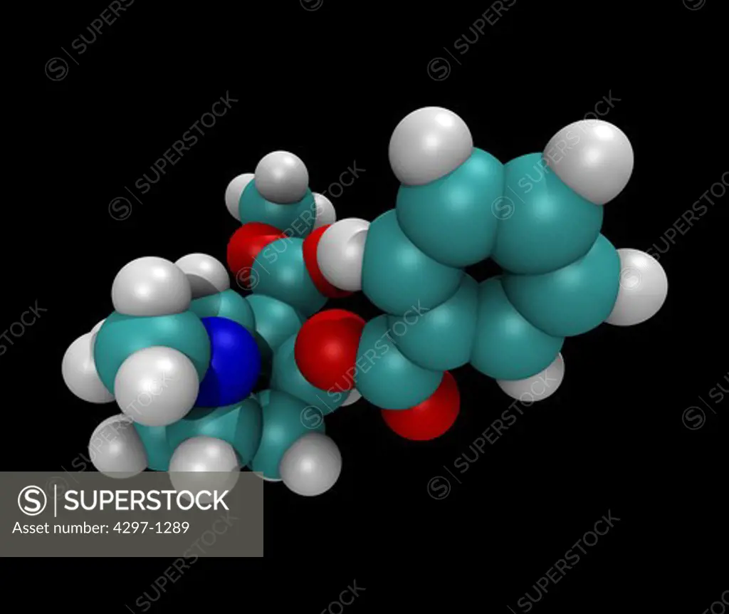 Computer generated three-dimensional molecular model of Cocaine (benzoylmethylecgonine)