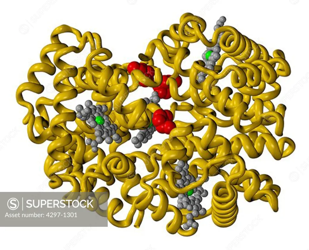 Computer generated three-dimensional model of Glycosylated (or glycated) hemoglobin (hemoglobin A1c, Hb1c, or HbA1c)