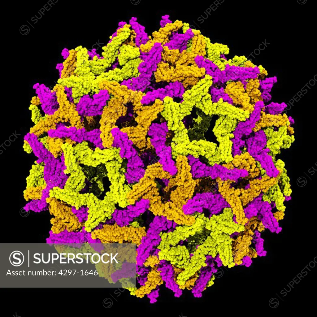 3D computer generated model of the yellow fever virus, based upon Protein Database entry 1NA4