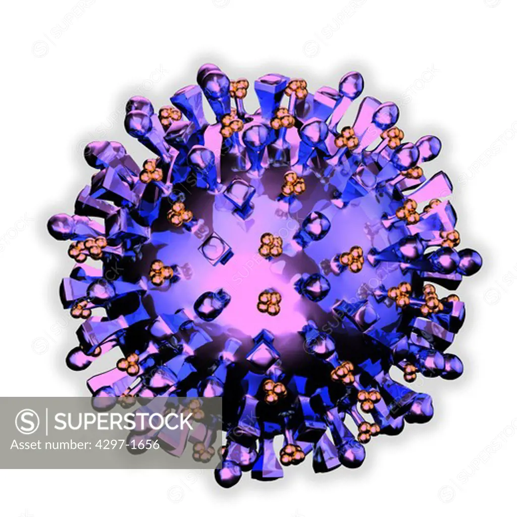 Computer graphic illustration of the Influenza A virus subtype H5N1, also known as bird flu, avian influenza, A(H5N1) or simply H5N1, is a subtype of the Influenza A virus which can cause illness in humans and many other animal species