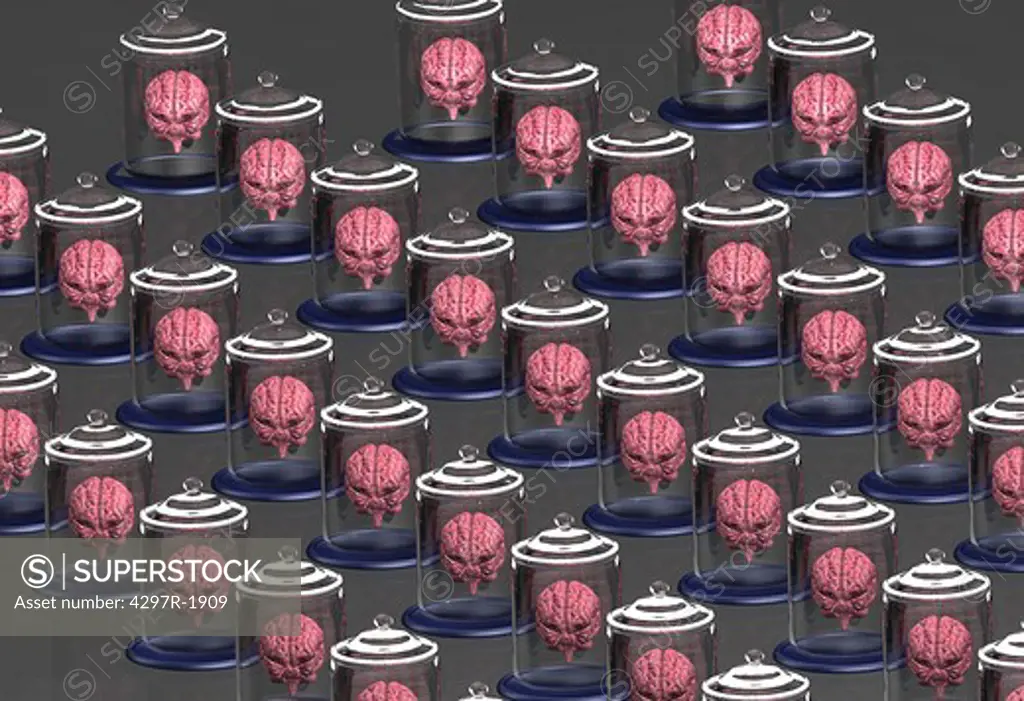 Illustration of human brains in specimen jars