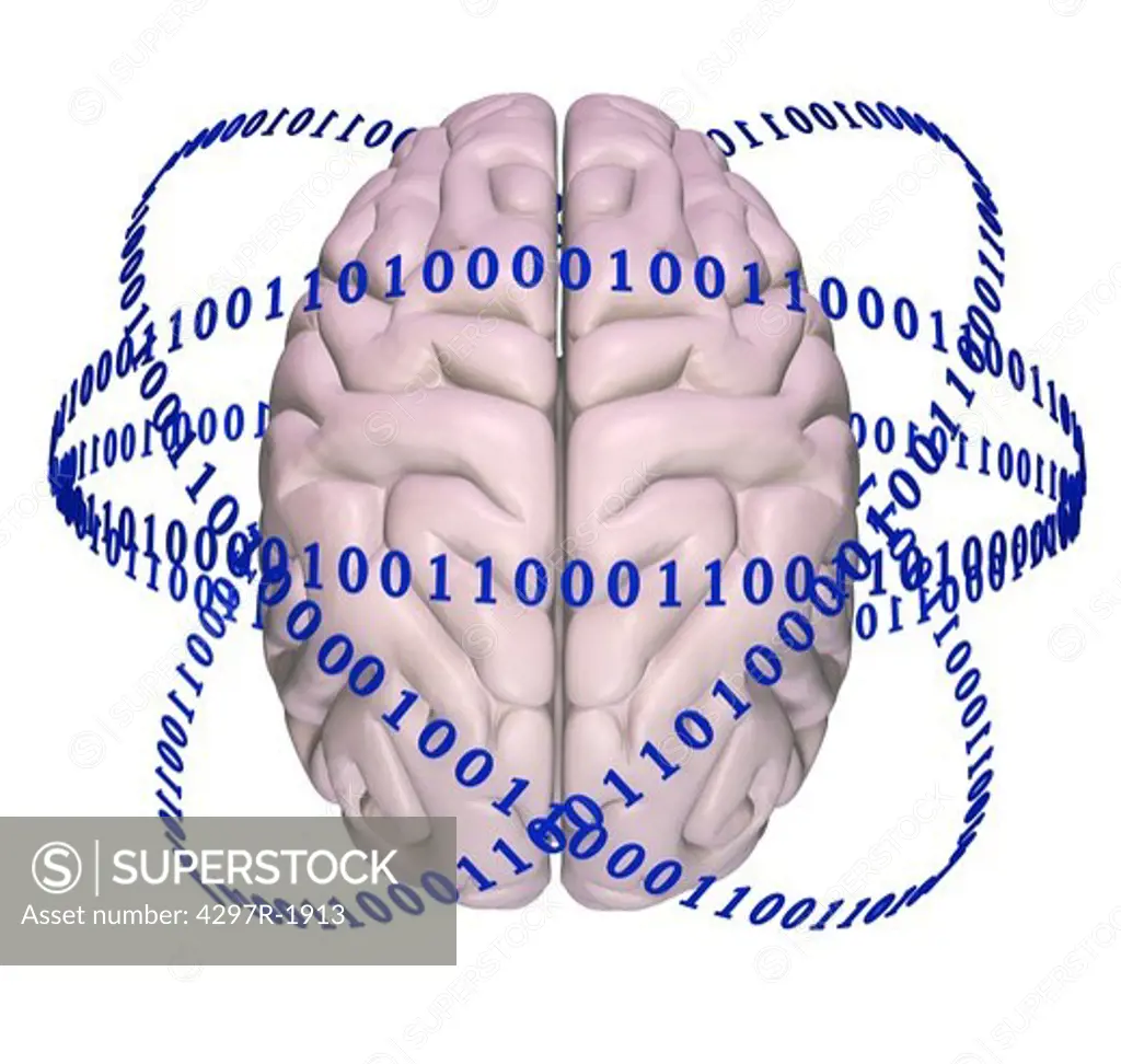 Illustration of a human brain surrounded by binary code