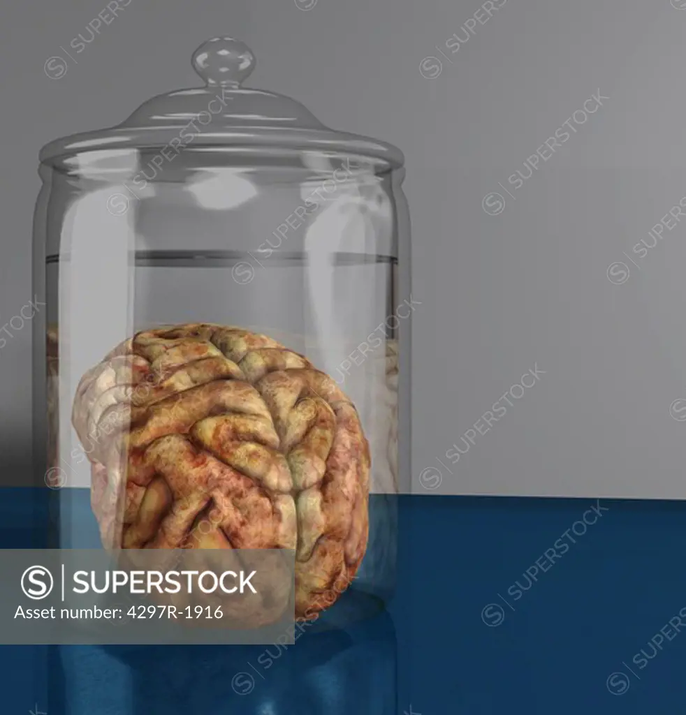 Illustration of a human brain in a specimen jar