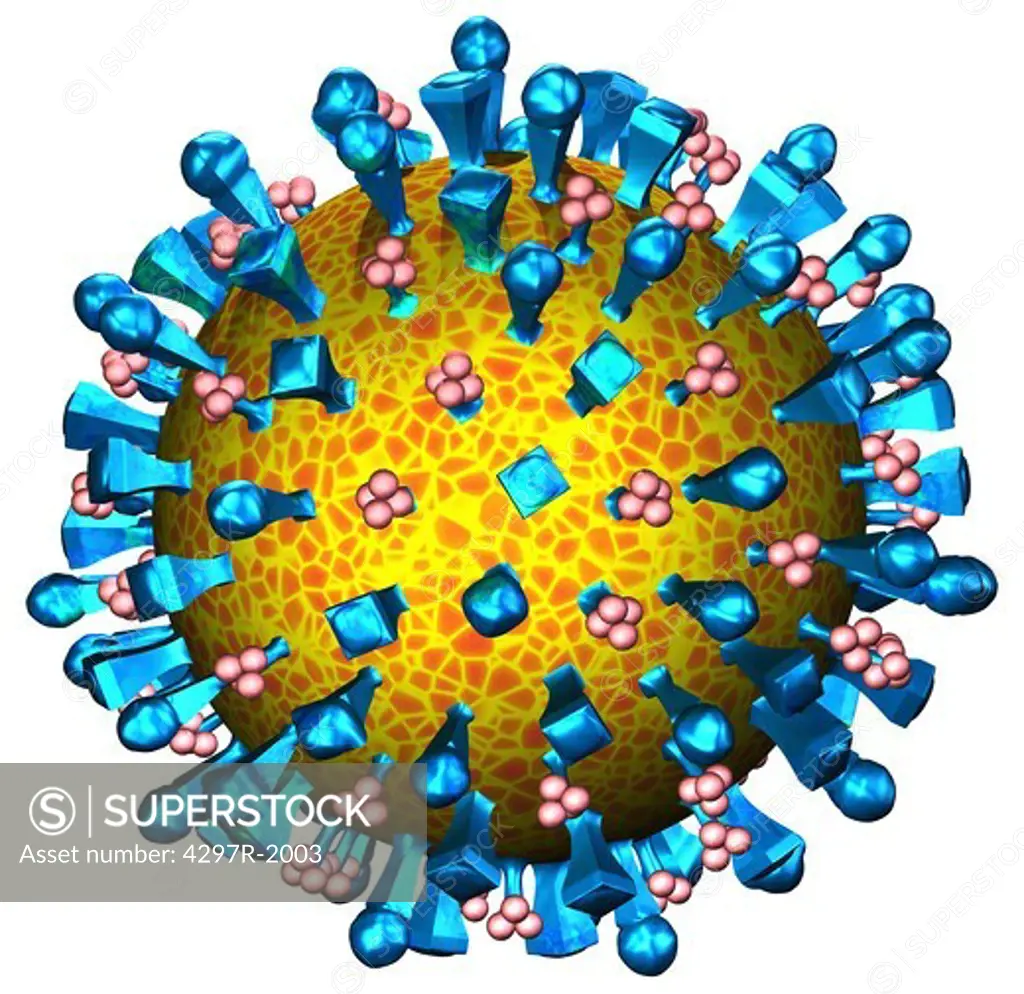 Illustration of the structure of a typical human virus