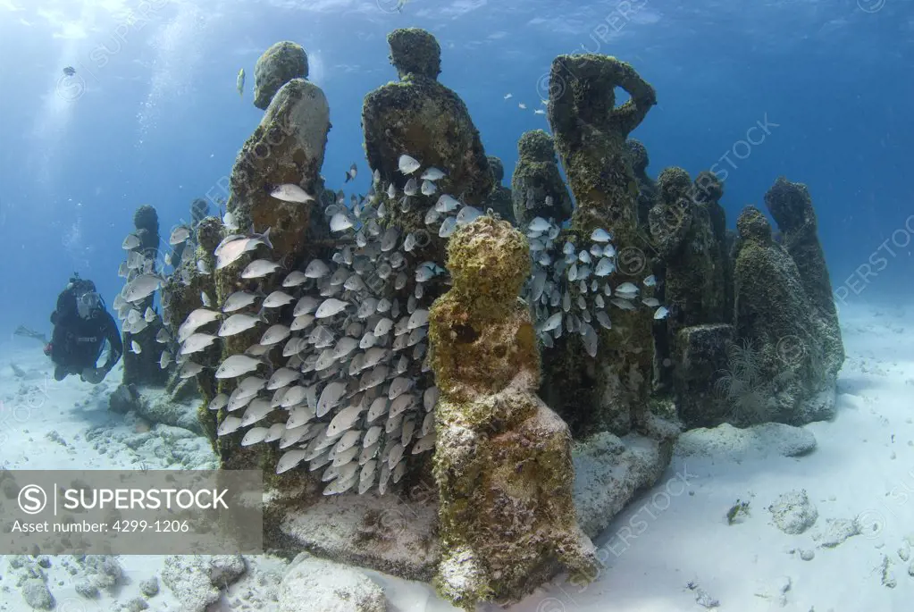 Underwater view of school of fishes with sculptures at Cancun Underwater Museum, Cancun, Quintana Roo, Yucatan Peninsula, Mexico