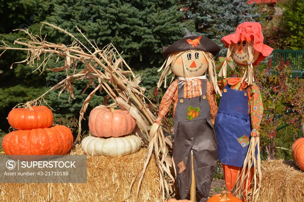 Halloween Pumpkins and Scarecrows