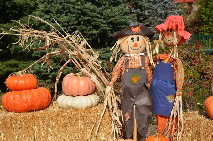 Halloween Pumpkins and Scarecrows