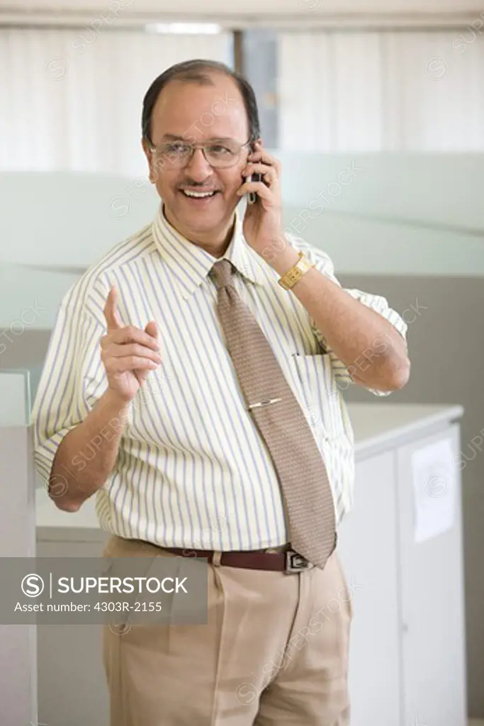 Businessman standing by the cubicle, talking on his Cellphone