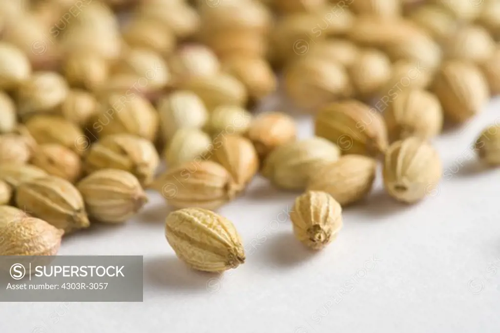 Whole dried coriander seeds