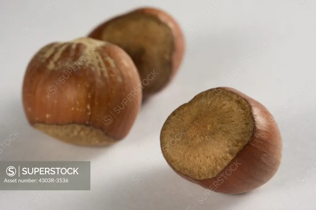 Hazel nuts