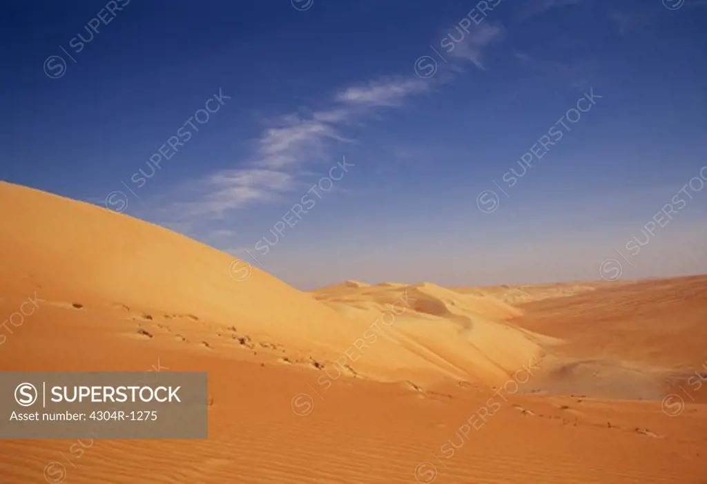 UAE- desert of Liwa