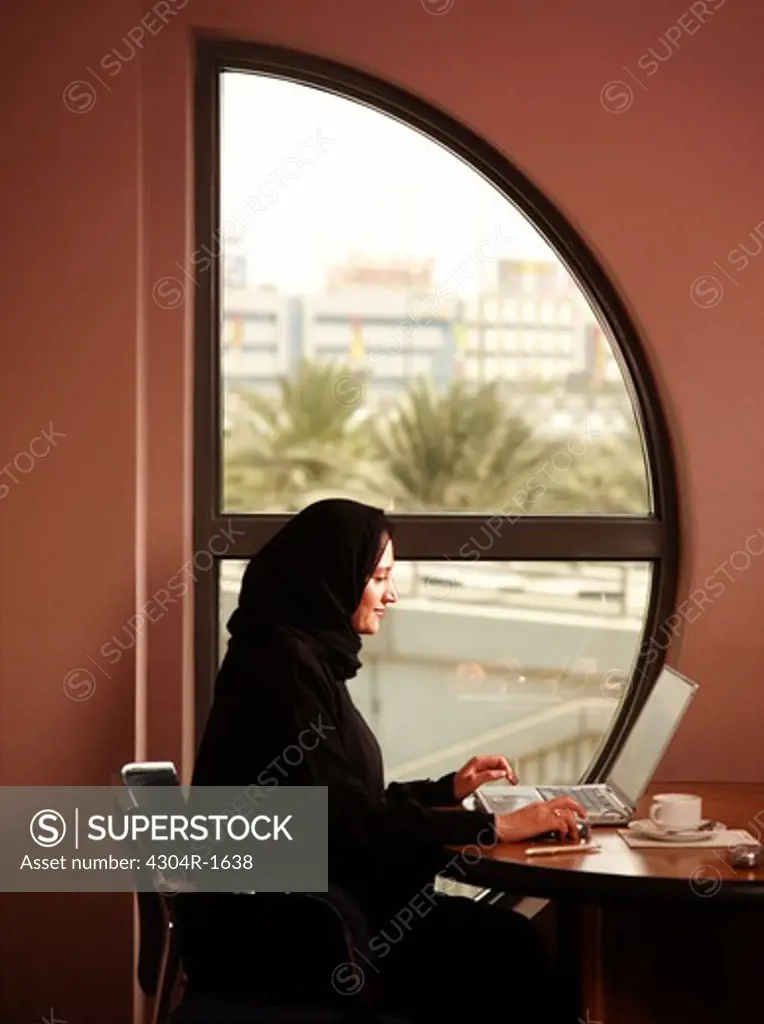 Businesswoman on the computer