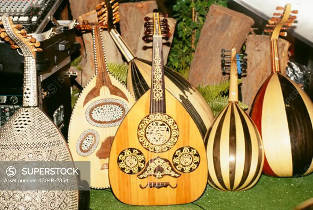 Musical stringed instruments of various shapes and sizes are arranged at one place.