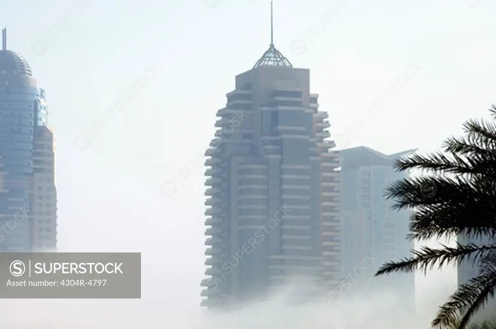 Towers seen through the mist