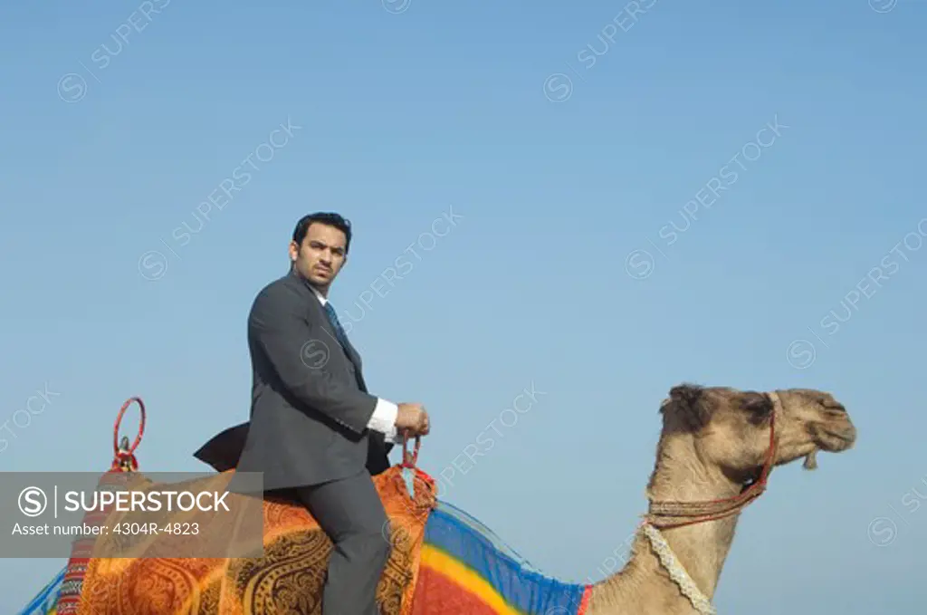 Businessman sitting on camel