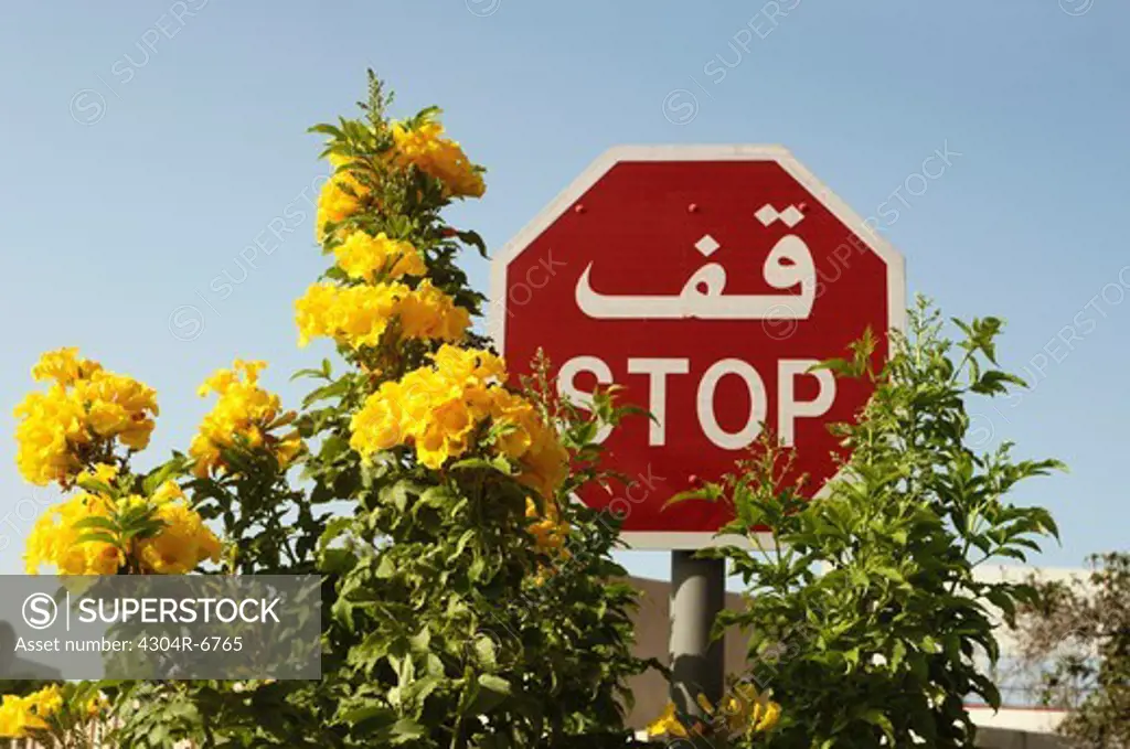 Stop sign with plants against sky