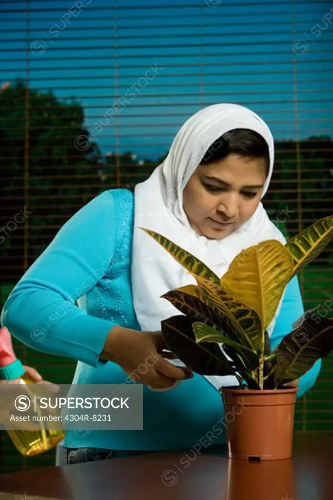 Mid adult woman with potted plant.