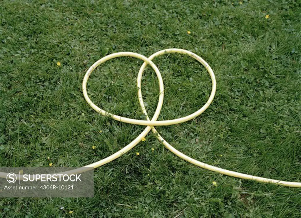 A water hose in the grass.