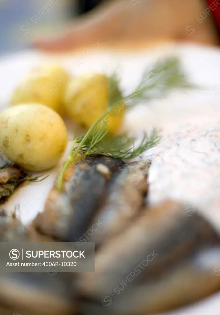 Fried herring and boiled potatoes.