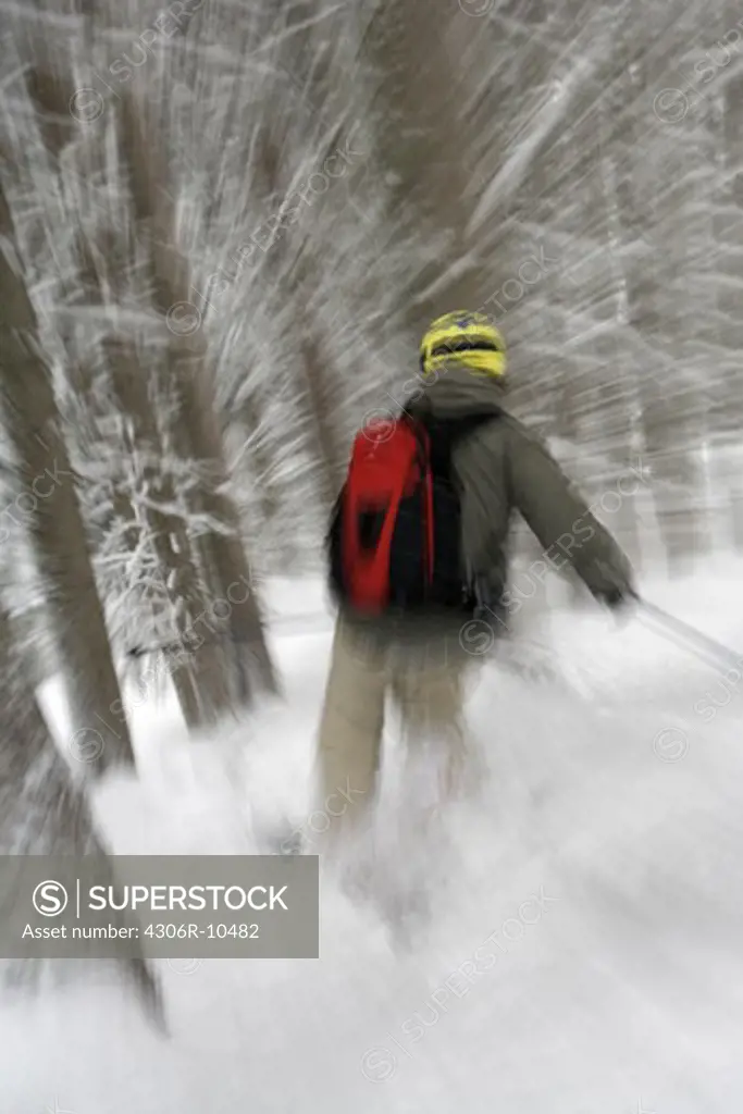 A skier in a forest.
