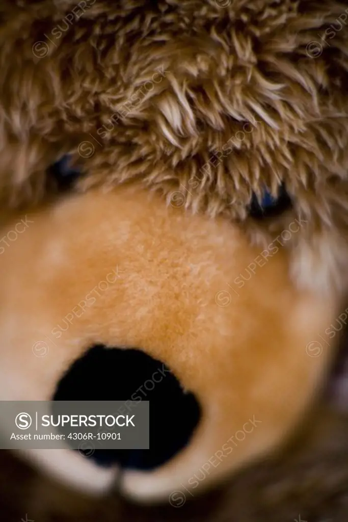 A teddybear, close-up.