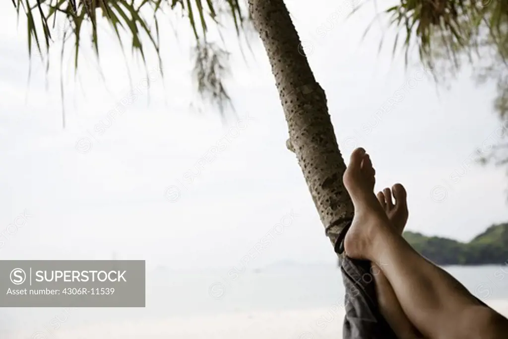 The legs of a woman in a hammock on the beach, Thailand.
