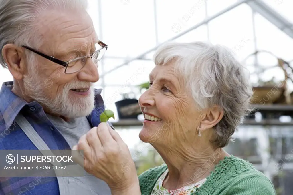 An elderly scandinavian couple with basil, Sweden.